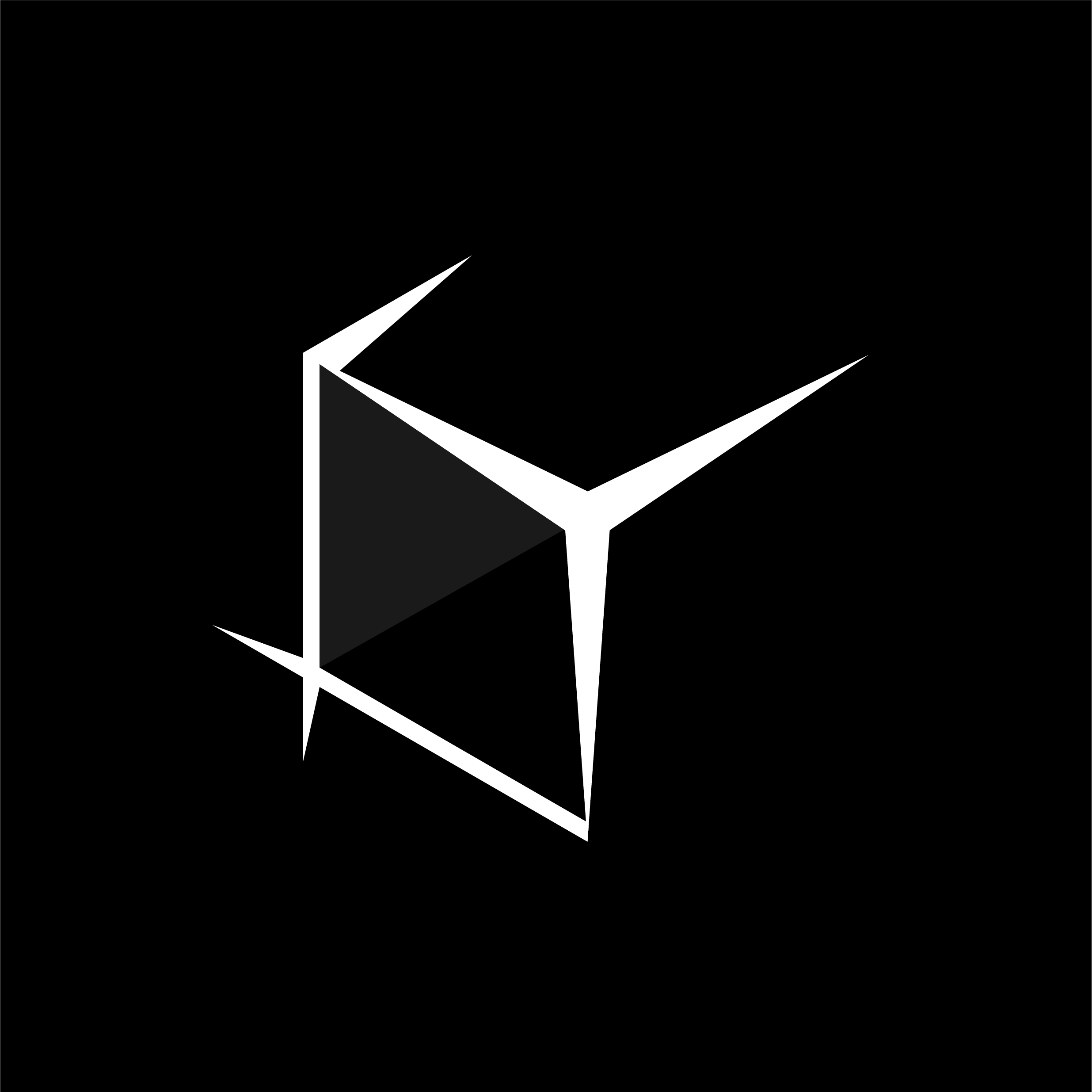 Blockstates - 型态 工作室 logo